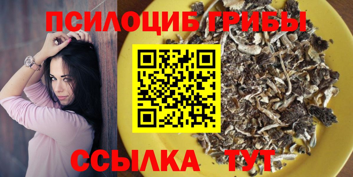 Казань  Псилоцибиновые грибы Psilocybine cubensis  где продают   Вход с VPN 